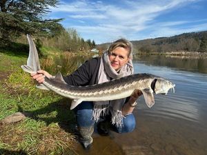 Sturgeon