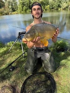Mirror Carp