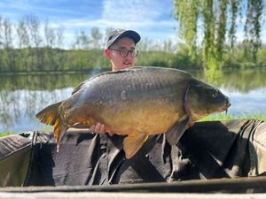 Mirror Carp