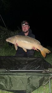 Mirror Carp