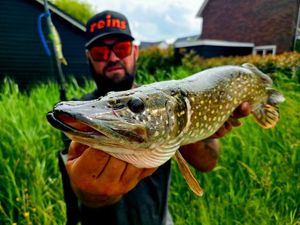 Northern Pike