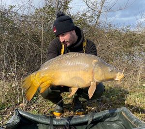 Mirror Carp