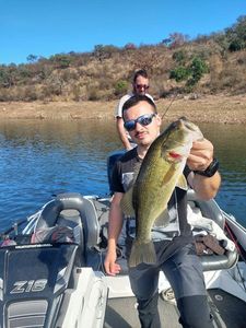 Smallmouth Bass