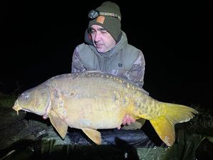 Mirror Carp
