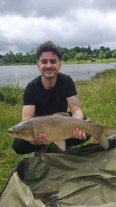 Grass Carp