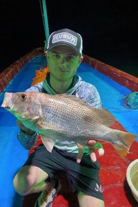 Yellow Snapper