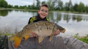 Mirror Carp