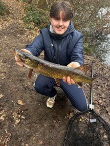 Northern Pike