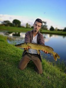 Northern Pike