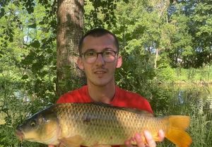 Common Carp