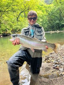 Rainbow Trout