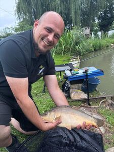 Mirror Carp