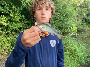European Perch