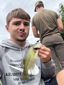 Largemouth Bass