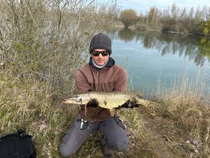 Northern Pike