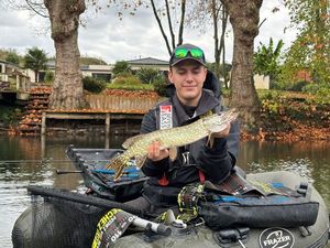 Northern Pike