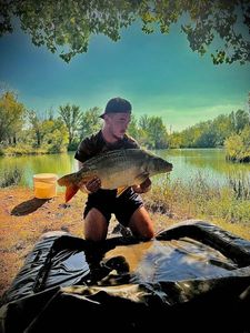 Mirror Carp