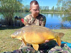 Mirror Carp