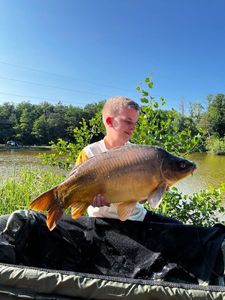 Mirror Carp