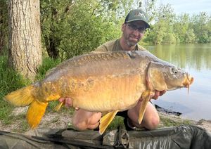 Mirror Carp