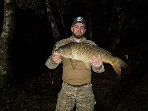 Common Carp