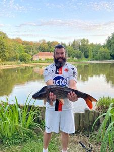 Common Carp