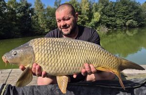 Common Carp