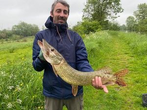 Northern Pike