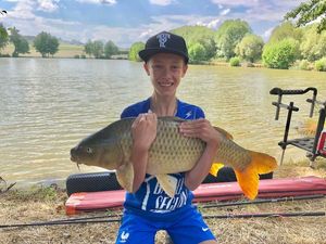 Common Carp