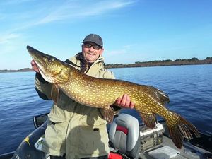 Northern Pike