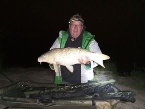 Common Carp