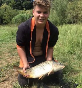 Common Carp