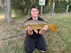 Common Carp