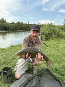 Tench