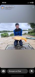 Mirror Carp