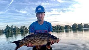 Common Carp