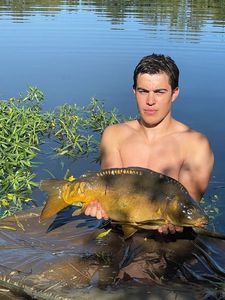 Mirror Carp