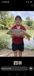 Common Carp