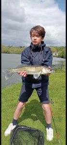 Zander