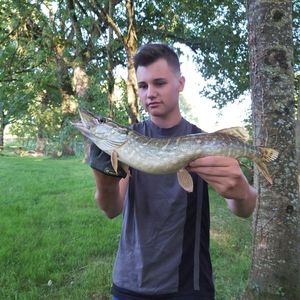 Northern Pike