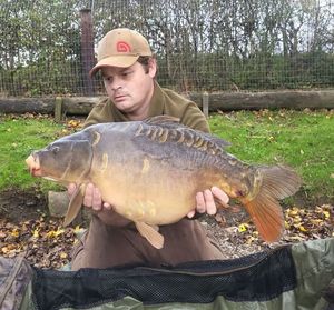 Mirror Carp