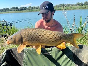Common Carp