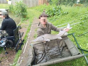 Sturgeon