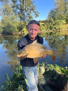 Mirror Carp