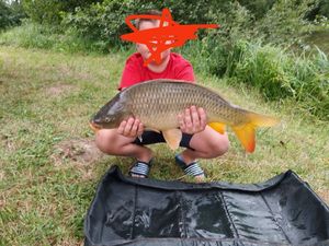 Common Carp
