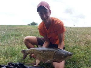 Grass Carp