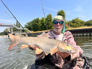 Barbel