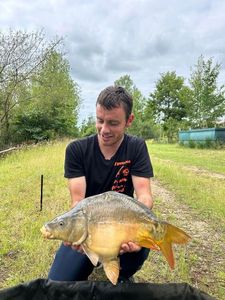 Mirror Carp