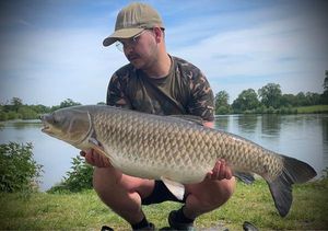 Grass Carp