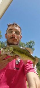 Largemouth Bass